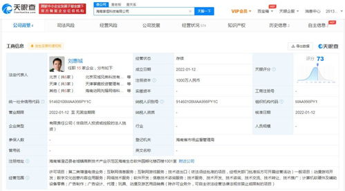 互聯網游戲服務 連接、沉浸與變革